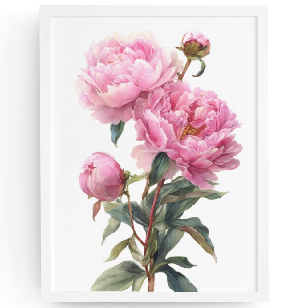 Watercolor Peonies Flowers Wall Art Print, Unframed - Vibrant Floral Grace